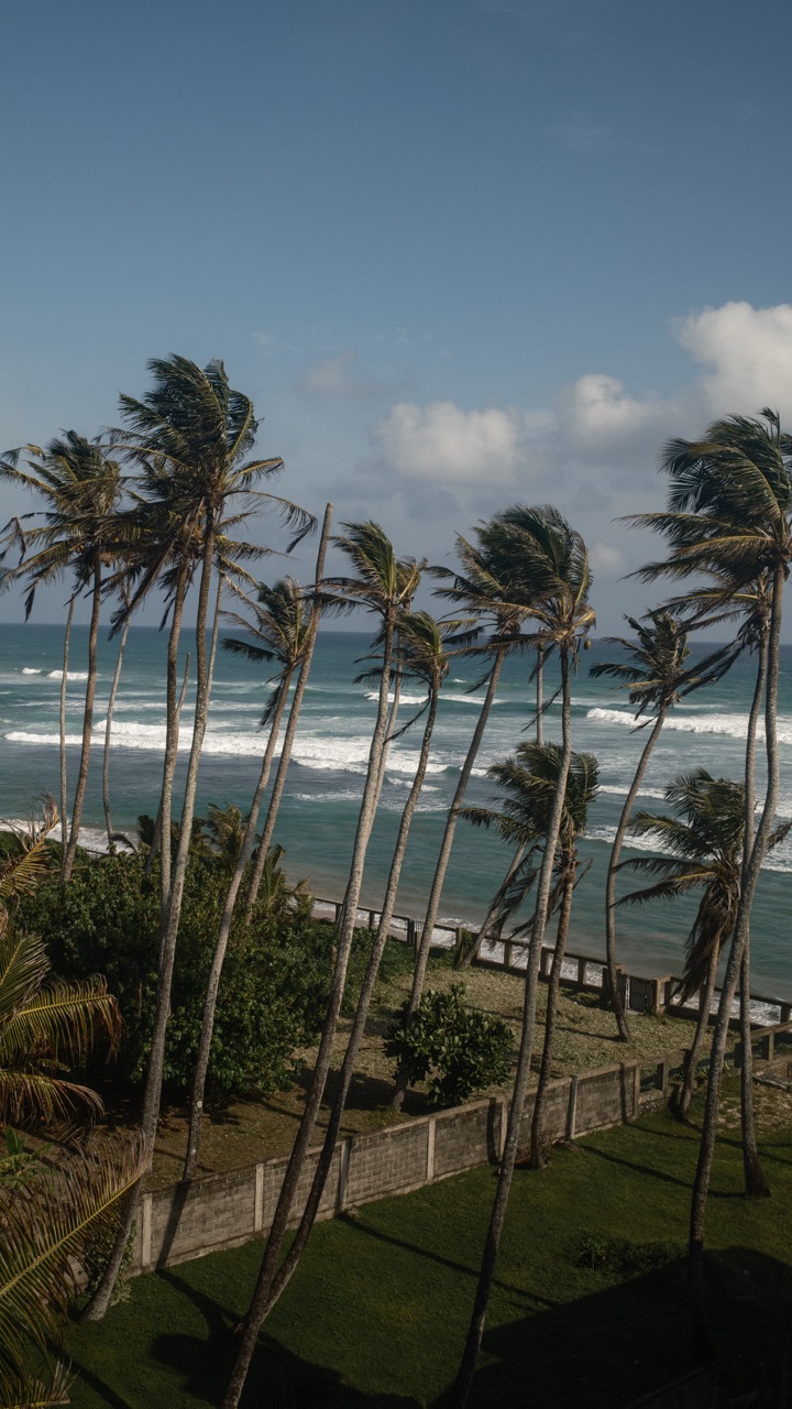 Sri Lanka · Ocean view