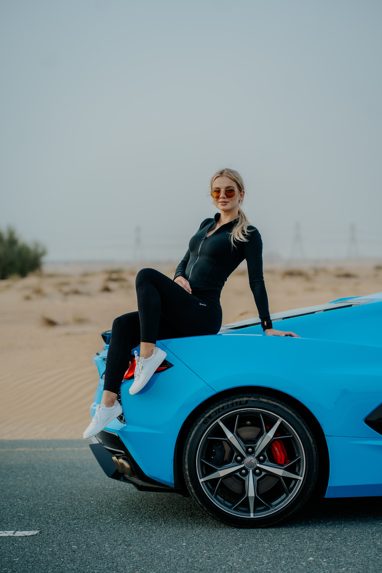 Corvette · Portrait